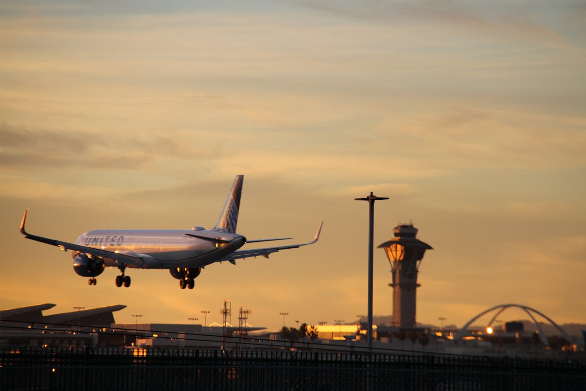 Graham / Lily tweet media