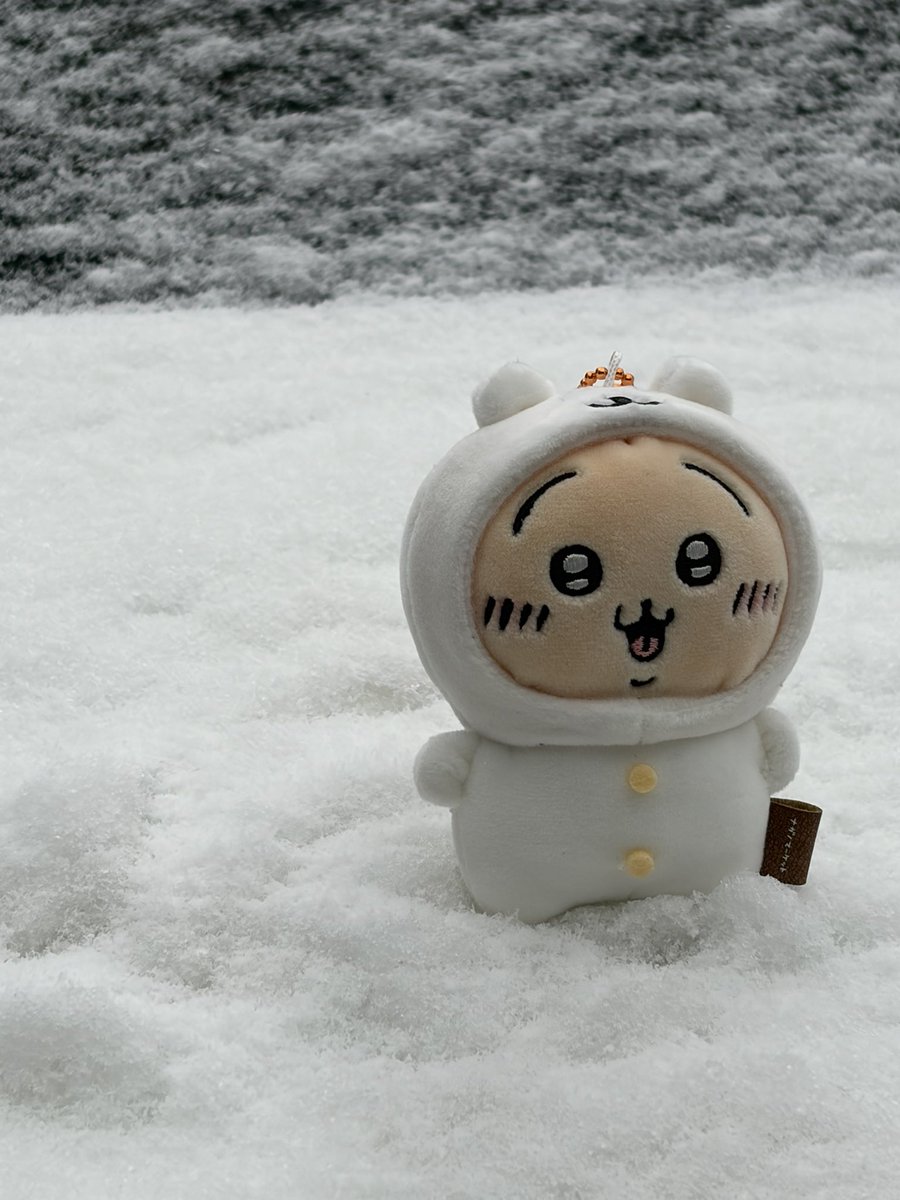 史呆分 tweet media