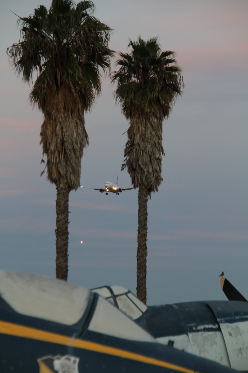 Graham / Lily tweet media