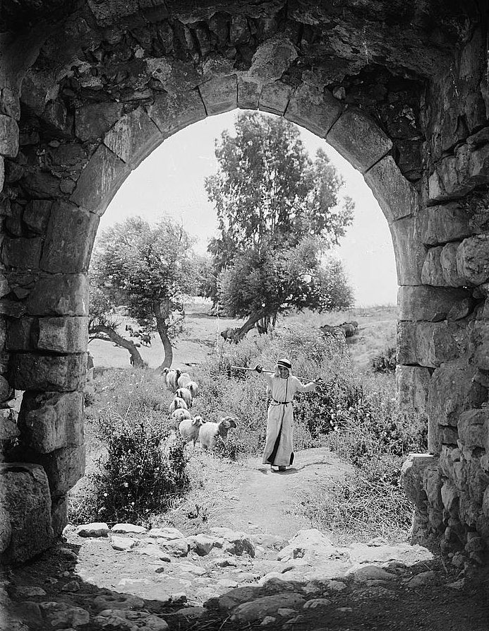 palsofnations's tweet image. 1936, Jerusalem, Palestine 🇵🇸 

A Palestinian shepherd.