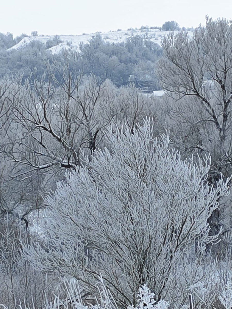 Docmet's tweet image. Раночку, морозіщє не вщухає, -20. Гонимо, але по-троху!