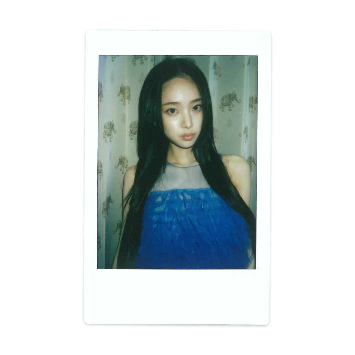 KiiiKiii tweet media