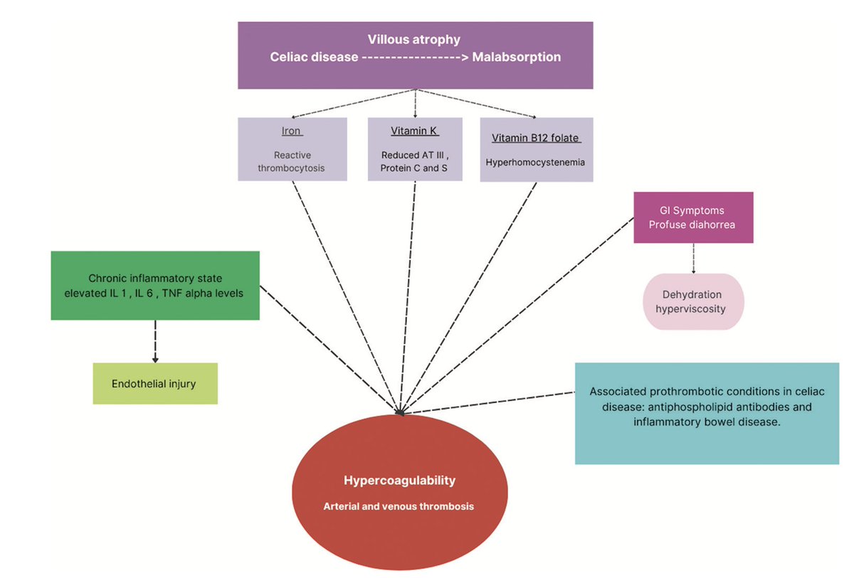 Annals of Indian Academy of Neurology tweet media
