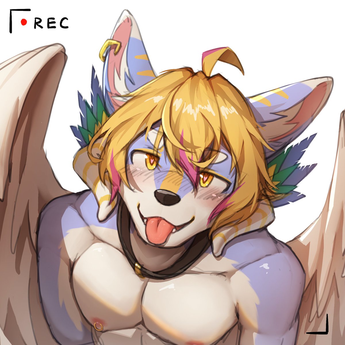 莫莫桑 tweet media