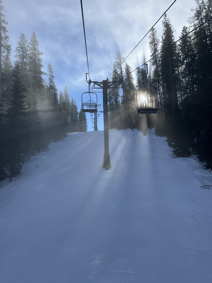 Don Pawluk tweet media