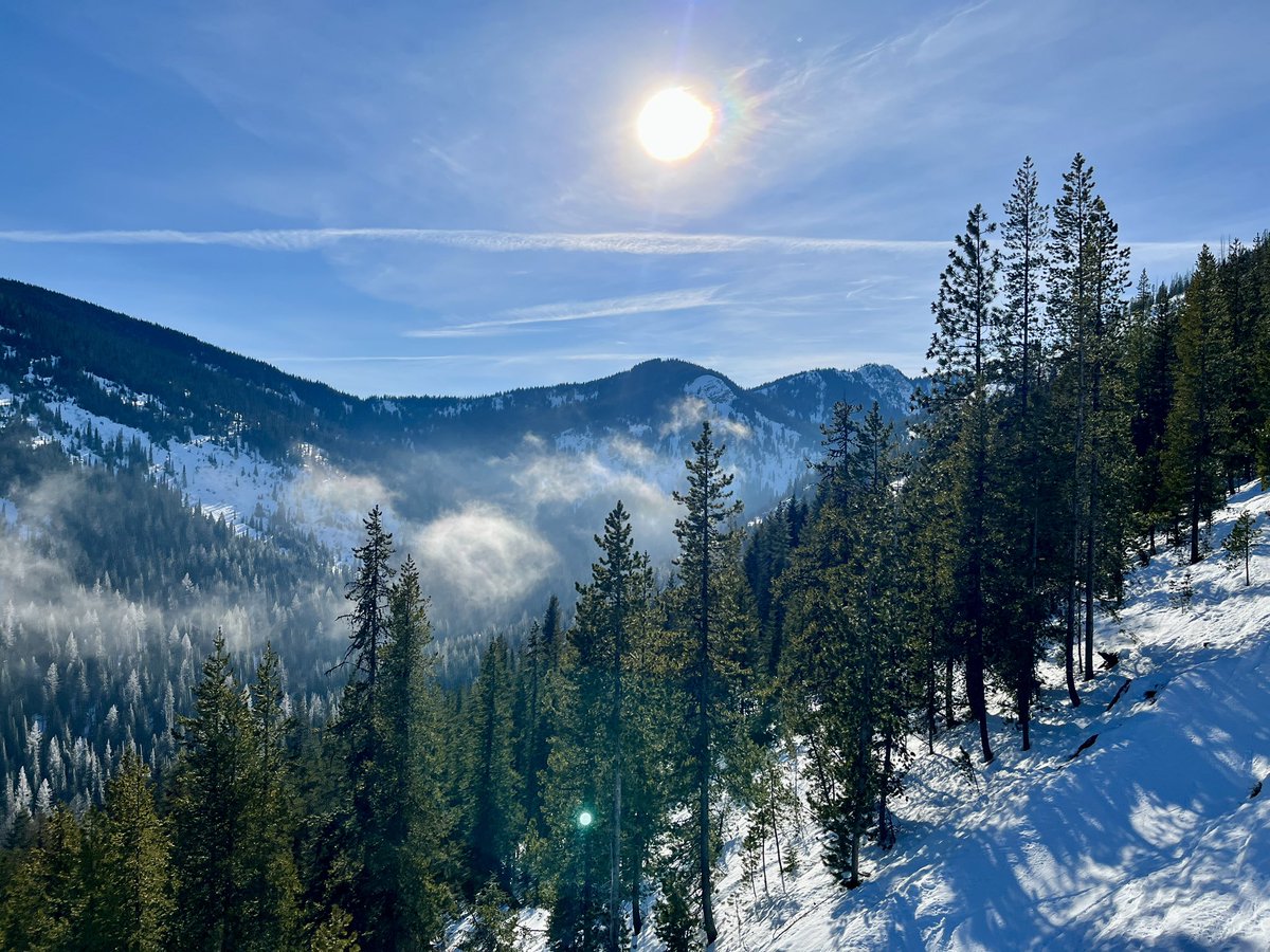 Don Pawluk tweet media