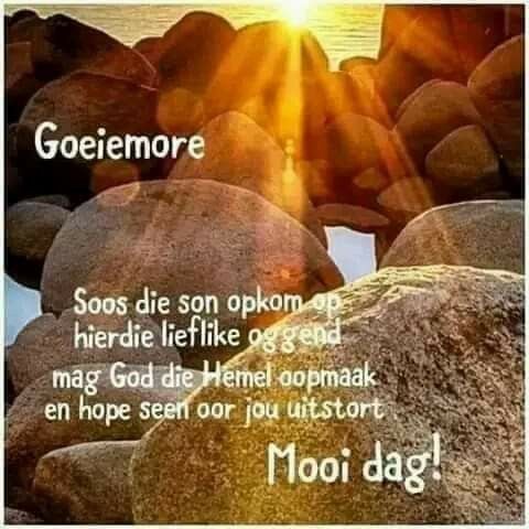 S T I C K S. 🐳🐬🐟 (@sticks_f) on Twitter photo 