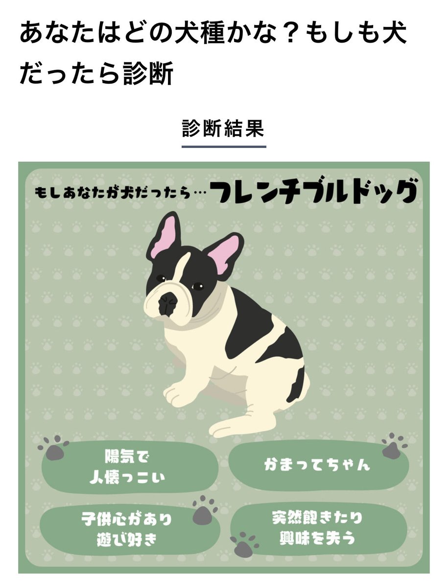 TomatoReStill's tweet image. 🍅はフレンチブルドッグ😆