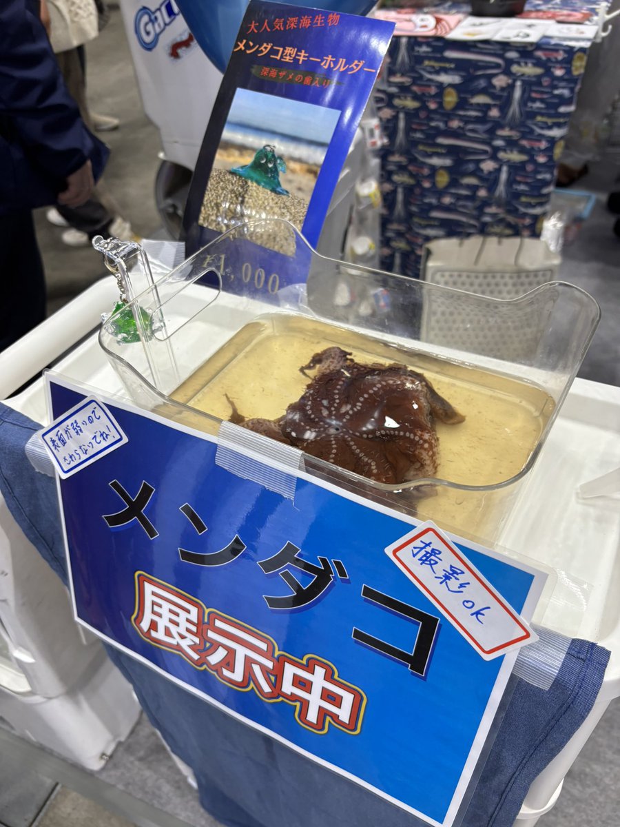 深海魚ハンター西野さん(<a href="/nanukazame1/">西野勇馬【深海魚ハンター】</a> )がやっている
深海ラボ (<a href="/deep_sea_Labo/">サメの歯アクセサリー専門店〜深海ラボ〜</a> )ブースにも遊びに行きました！🎣

りあバイ時代から2度目の深海釣査行けてないので実現したい!🥺🛳️

推しのnem仔ちゃん(<a href="/nemco_Gj/">nem仔🦈✖︎はっぴーグッジョブ.jp</a> )が遊びにきてくれたよ〜💙🦈
nem仔ちゃんのライブまじ体験してほしい！

#釣りフェス