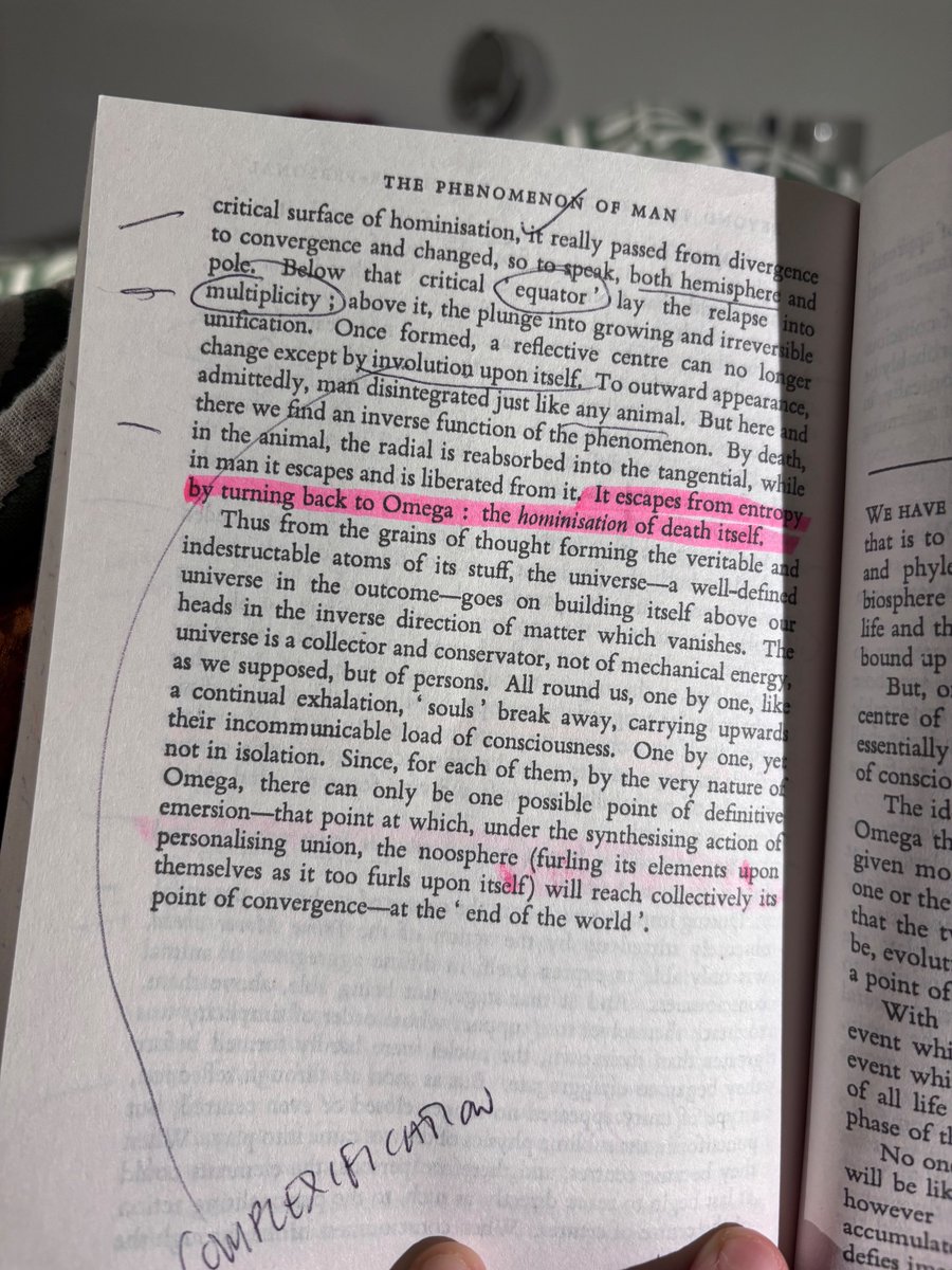 Robin Carhart-Harris tweet media