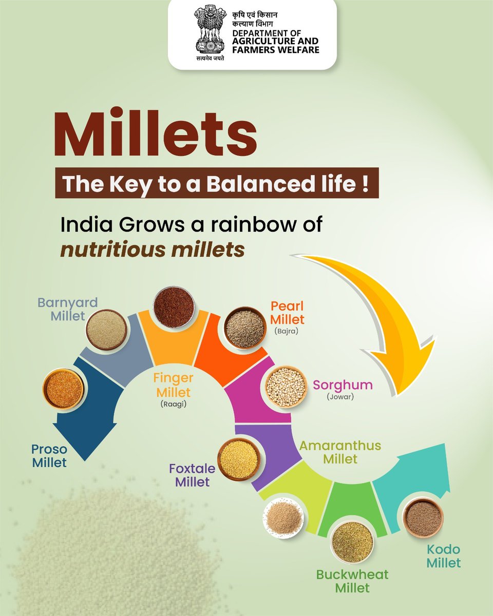 AgriGoI's tweet image. Millets: Smart Choice for Healthy Lifestyle.  Start your day with these nutrient-rich grains. Millets are natural source of protein, vitamins, minerals and are commonly included in balanced diets.  Small Grains. Big Benefits.

#agrigoi
#Millets
#ShreeAnna