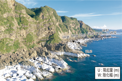 千葉県立中央博物館 tweet media