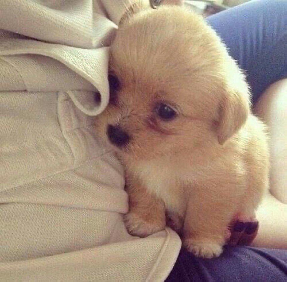 prettyvalues's tweet image. o t.4 anda influenciando até na minha sexualidade pq eu to me sentindo tão enorme e tão feia que nenhuma mulher daria uma chance pra mim