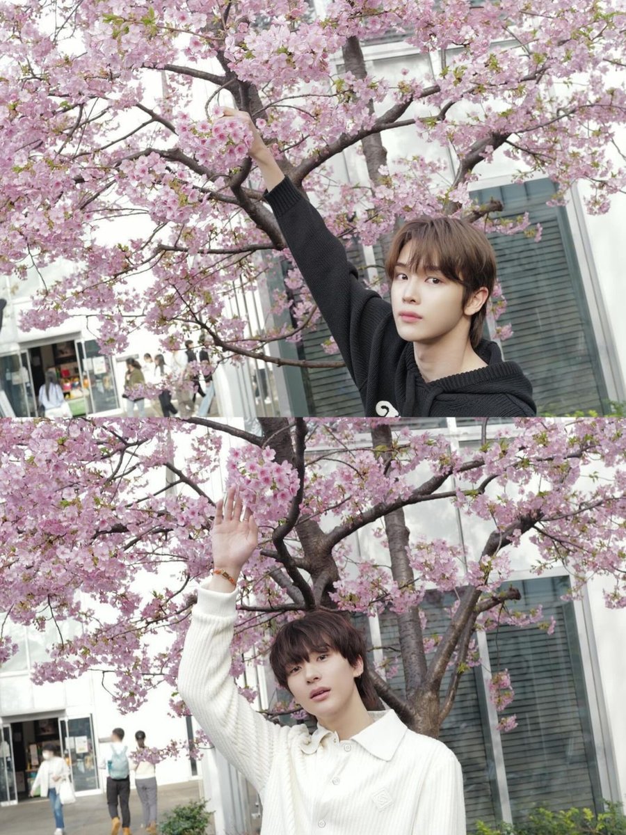 mysungchanyoung's tweet image. Sungchanyoung are dating but I just can’t prove it ...