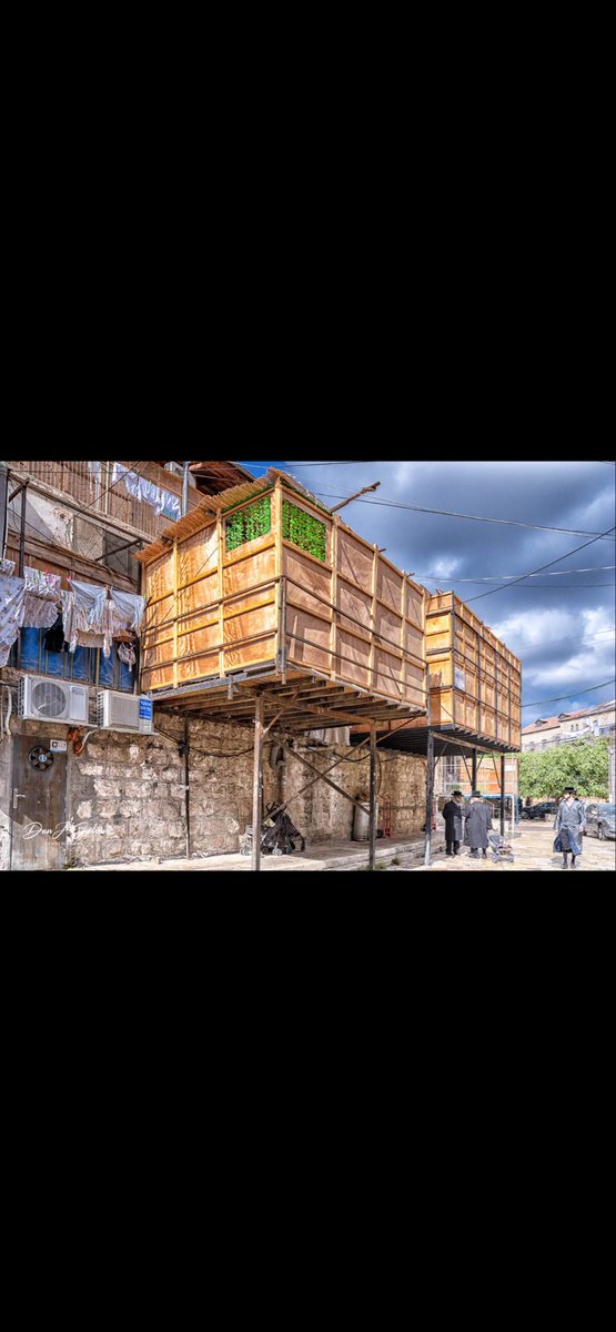 Dr. Dan J. Gelvan tweet media