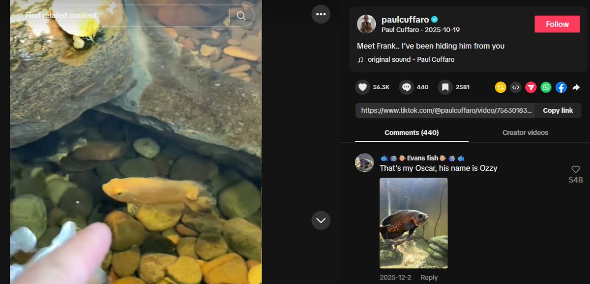 KyloGems's tweet photo. Lmao how has nobody done this yet

Lola literally has a brother named frank who's a fish and he is JUST AS VIRAL (yes, frank is a fish)

His Proof of name:

https://t.co/o4IWaGhAIQ https://t.co/xMdRS71mMK