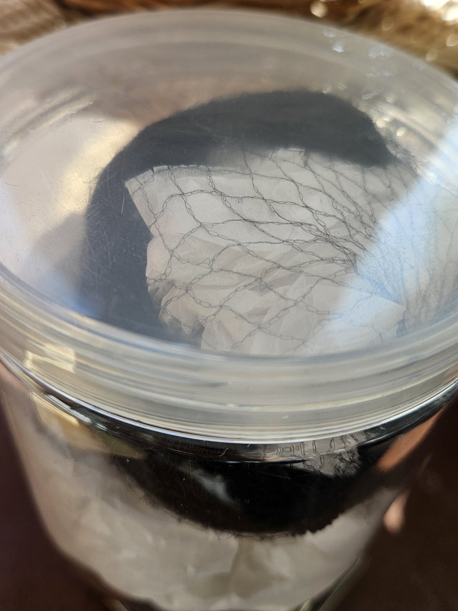 옆집 김실장🏡 tweet media