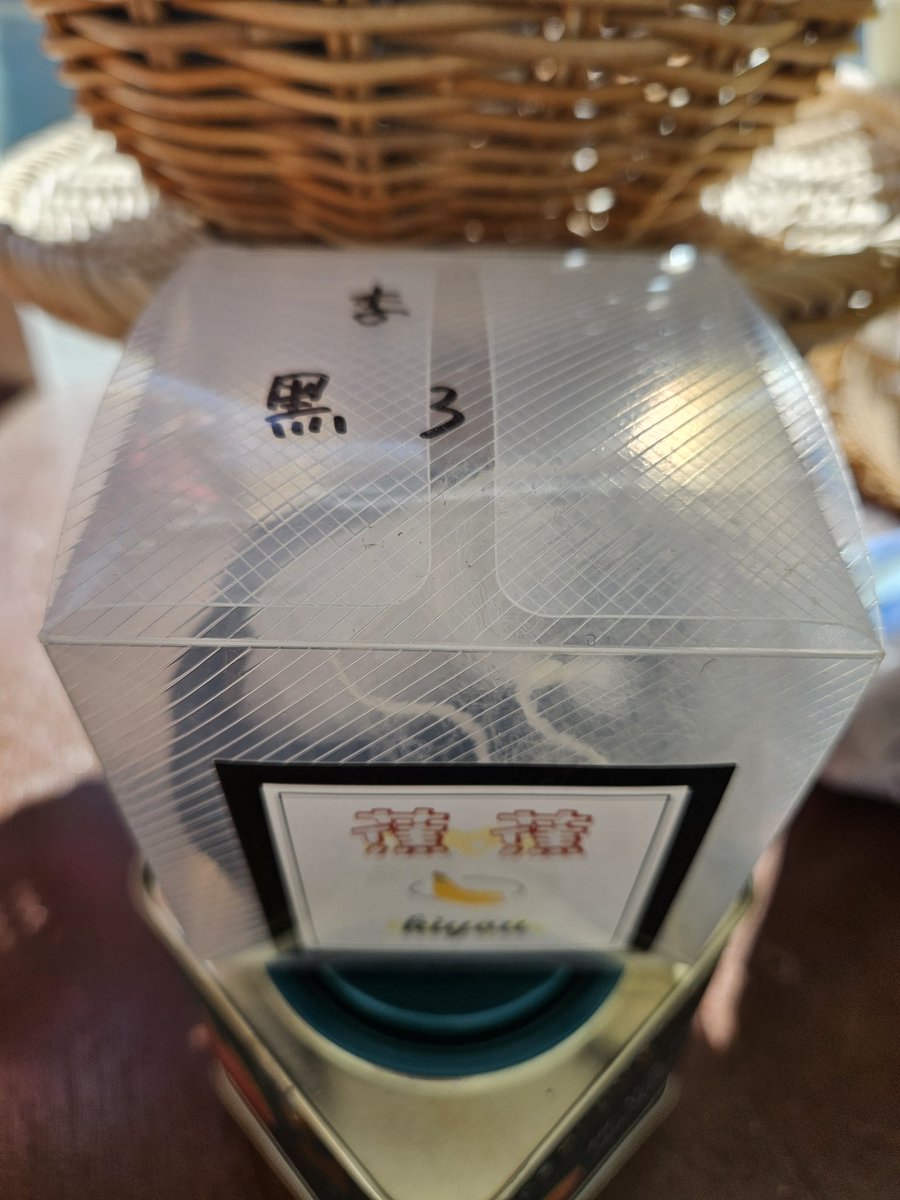 옆집 김실장🏡 tweet media