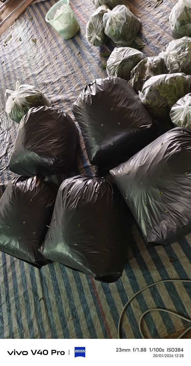 ppel69's tweet image. เสดงานล่ะ...จะไปลั่นลาบิ๊กซีชุมพรได้ข่าวเซลทั้งห้างปิดกิจการ😍