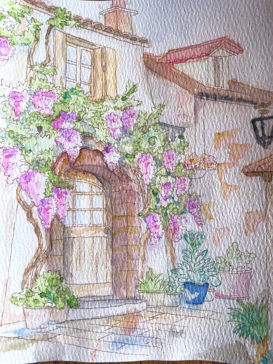 植物の水彩画楽しいですね✨ 下の無駄に色がついてしまっても締まるの