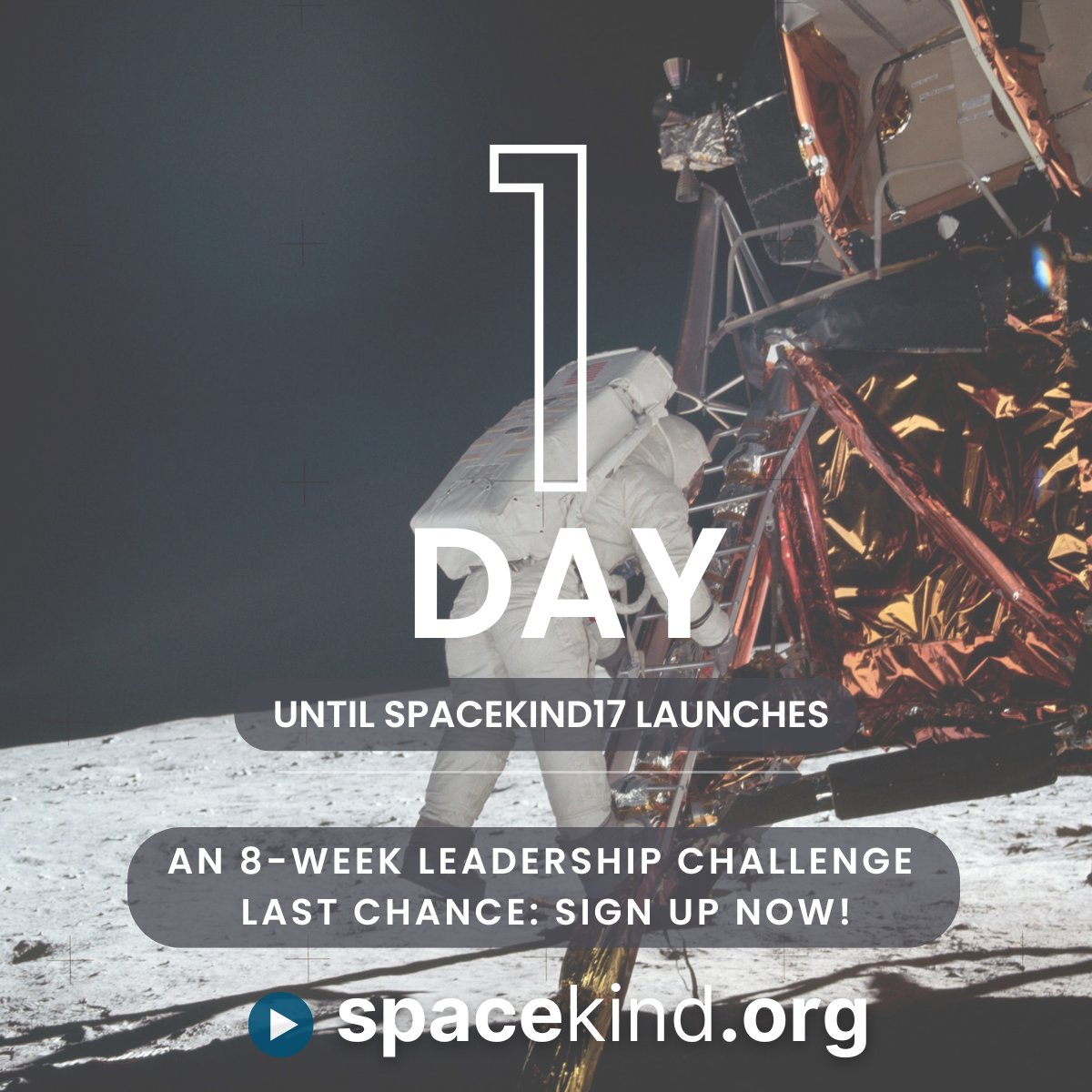 Loretta Hidalgo Whitesides tweet media