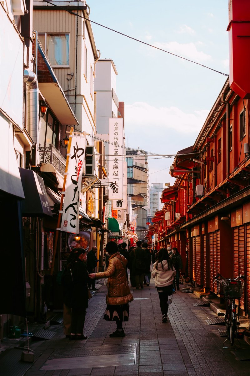 cole 柯乐 🐼🌸 tweet media