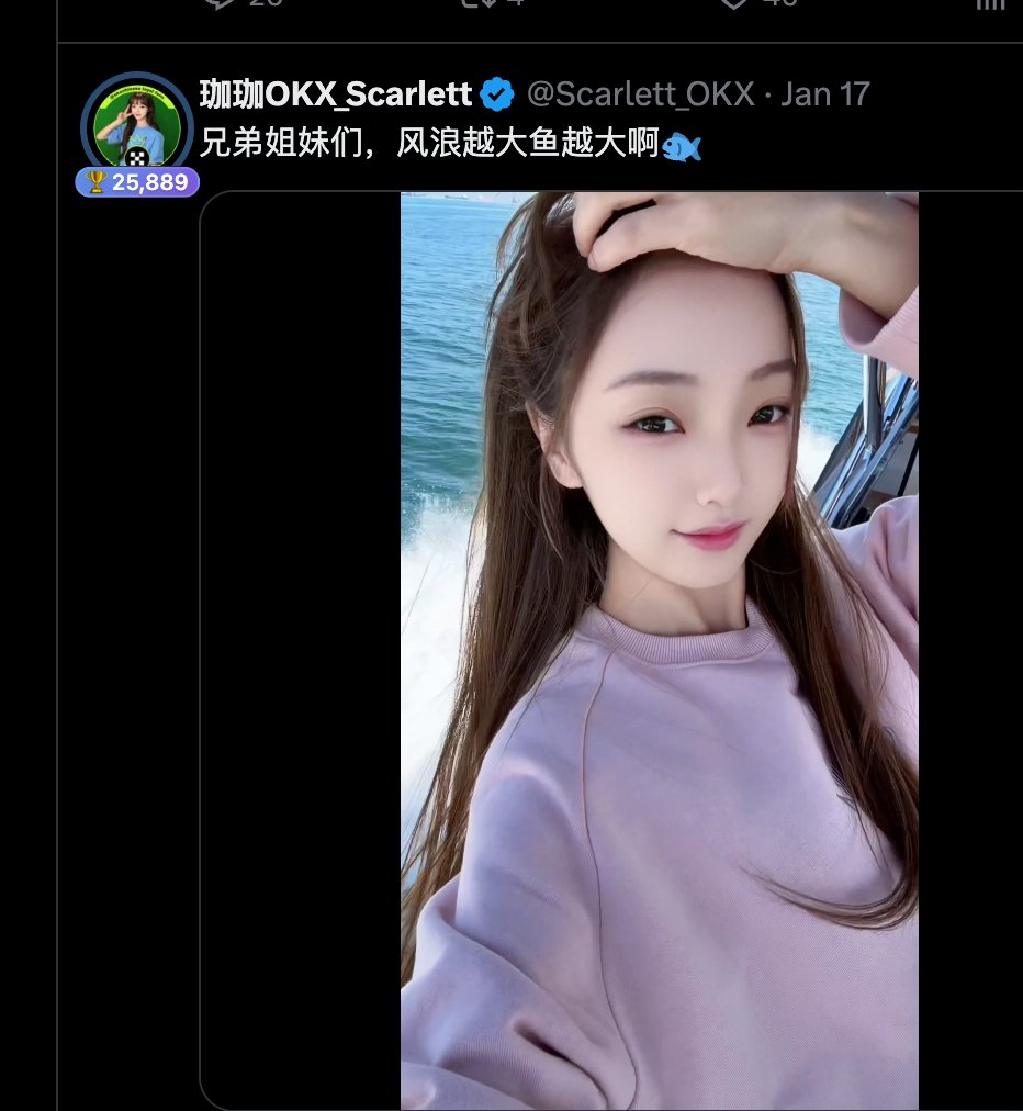 star_okx @Haiteng_okx 应okx朋友们的要求，点进去主页多看看深度了解一下，我的妈耶，小红书集美上推特冲浪了。