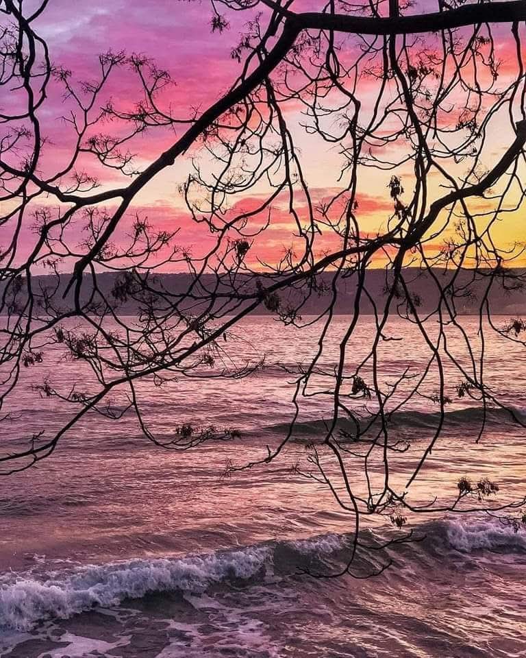 Imaginer, c'est hausser le réel d'un ton.
G. Bachelard

Doux mardi!💕