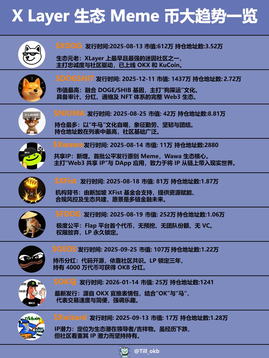 OKX基金OR 0xcd85198d225f2221494026d108b62008e5e7946f)