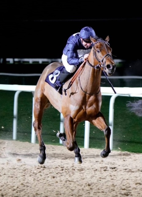 William Knight Racing tweet media