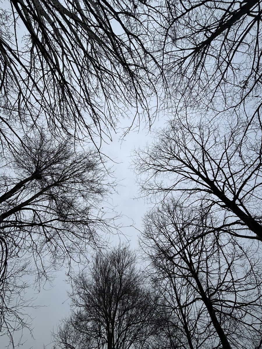 liv lenchantin van pelt tweet media