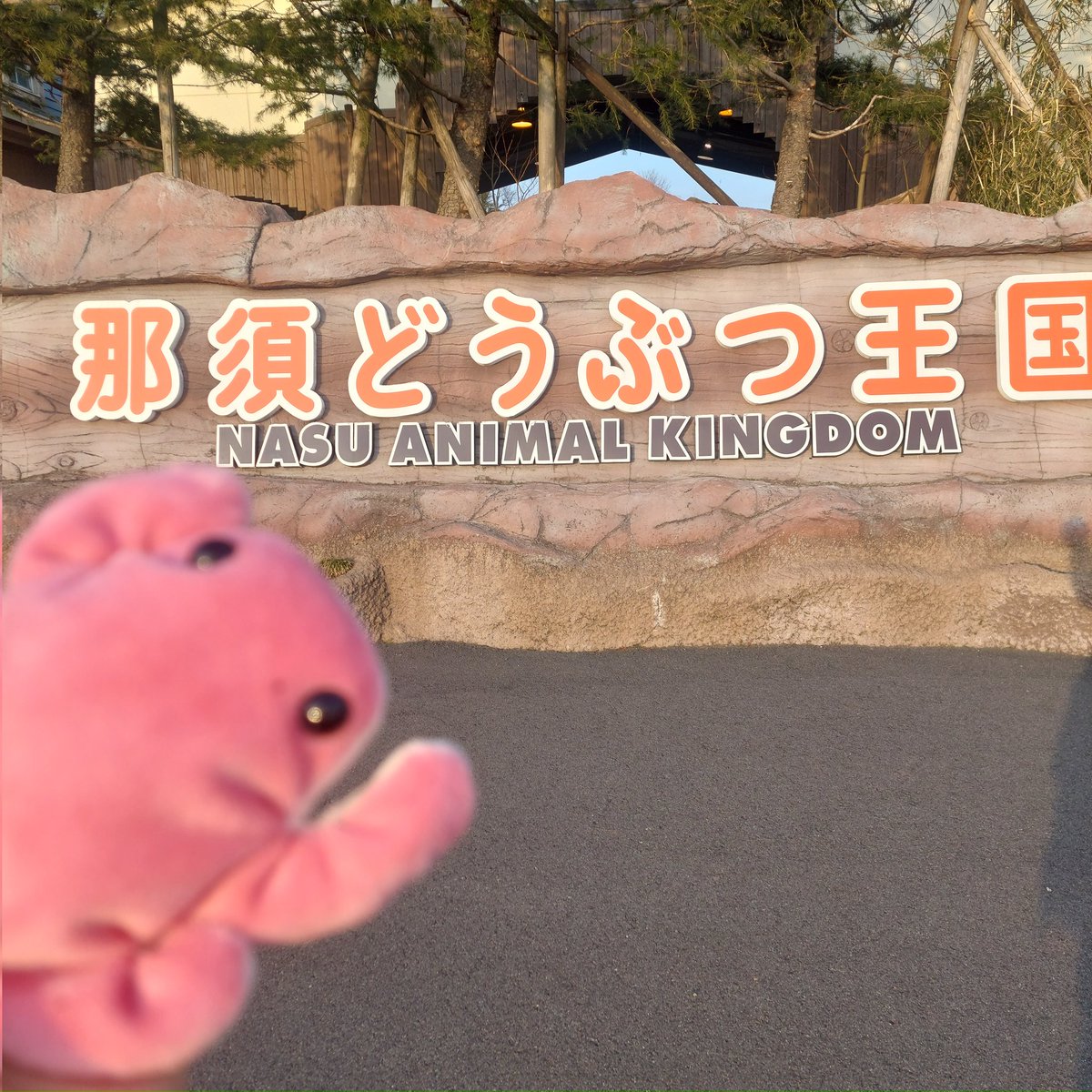 Suzu tweet media