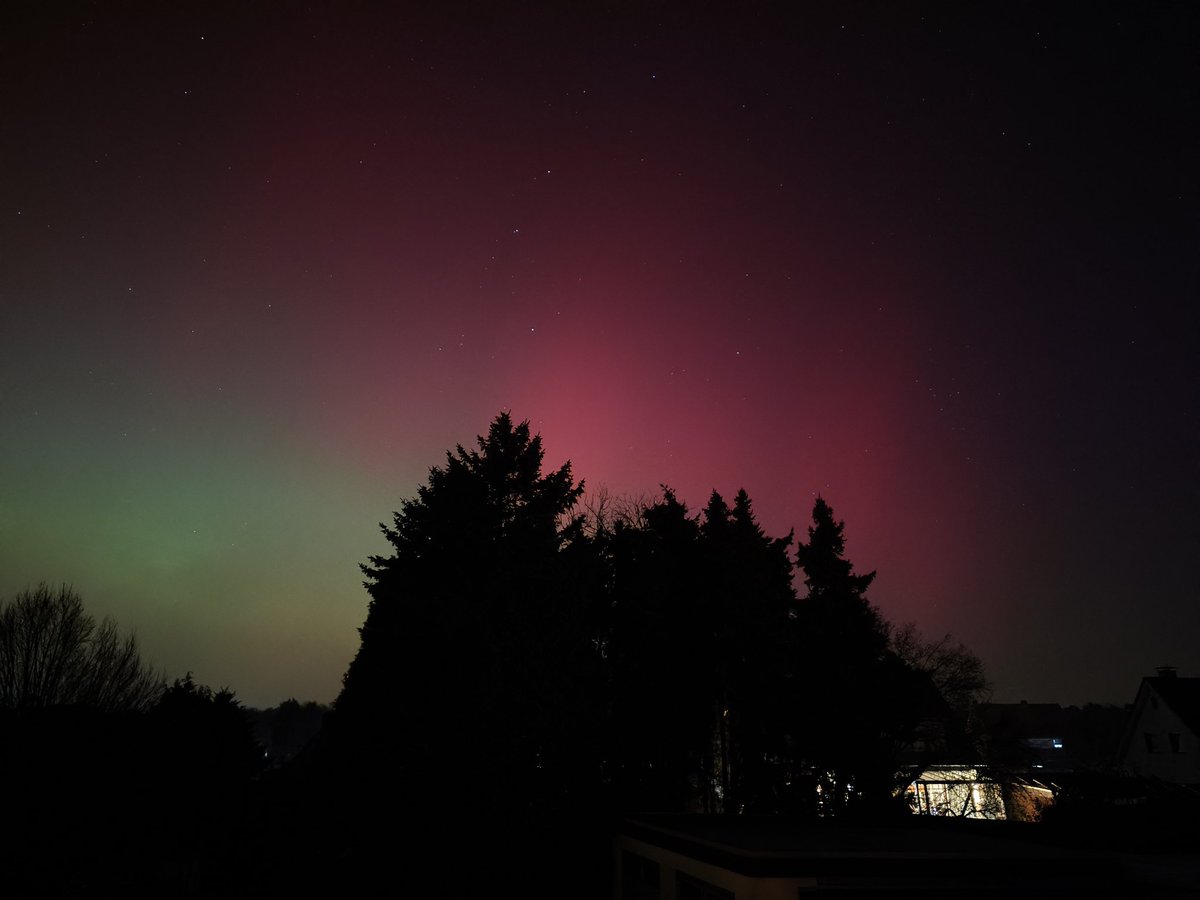 DivouseAM's tweet image. Nordlichter