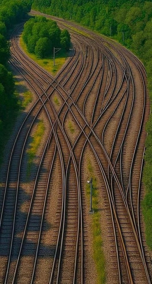 Hey <a href="/grok/">Grok</a>, remove how females think.