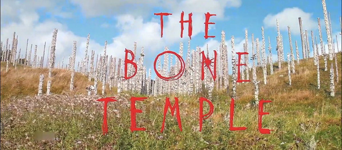 jas ☾ (@femboxd) on Twitter photo 