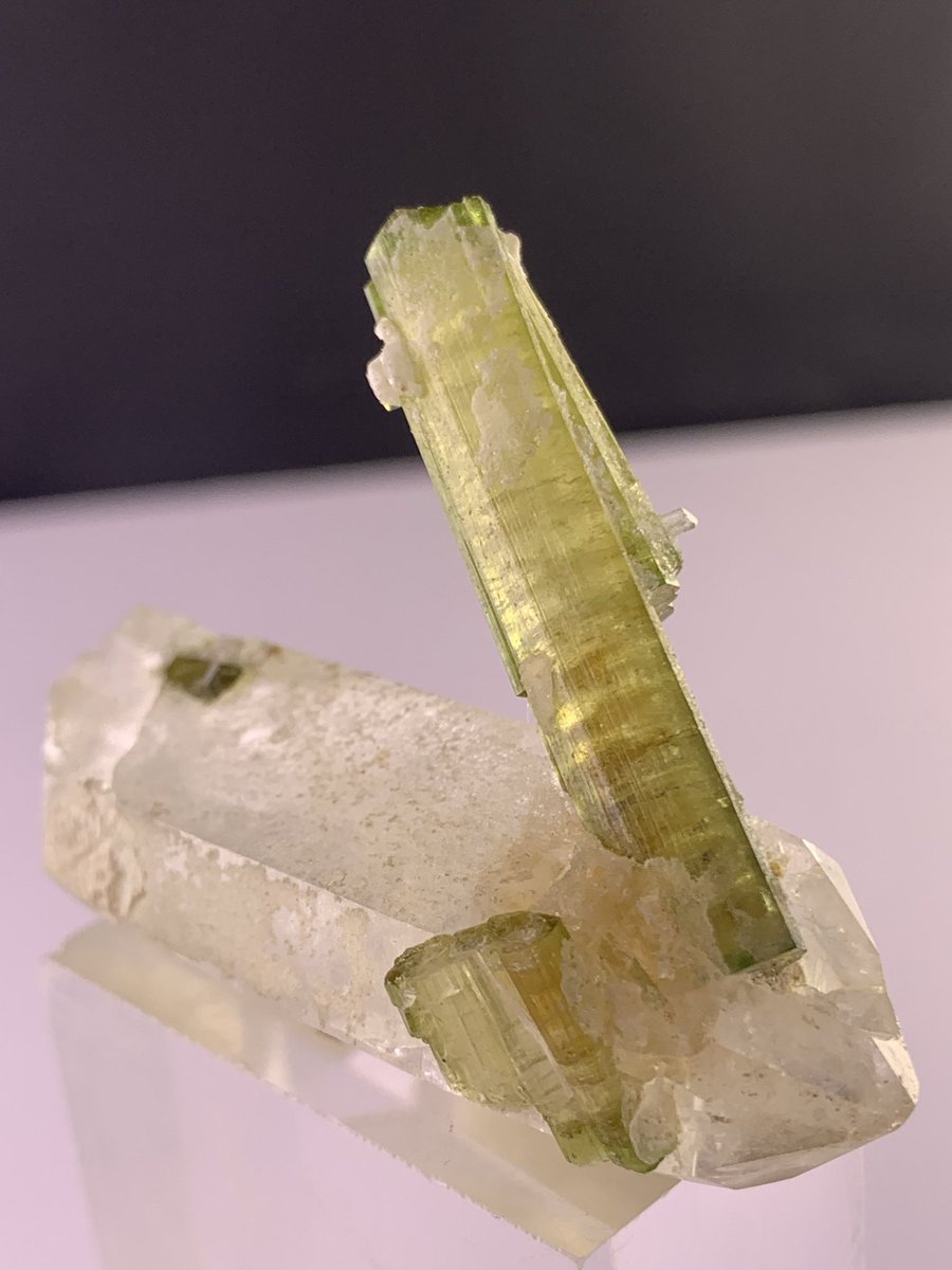 karakormcrystal's tweet photo. Quartz with Green Tourmaline (Elbaite)
A beautifully balanced specimen featuring a clean, well-formed quartz crystal accented by vivid green tourmaline blades.
📍 Origin: Skardu Region
#QuartzWithTourmaline #GreenTourmaline #Elbaite #MineralSpecimen #CrystalCollectors #WilliamEst https://t.co/H9VxOYeFof