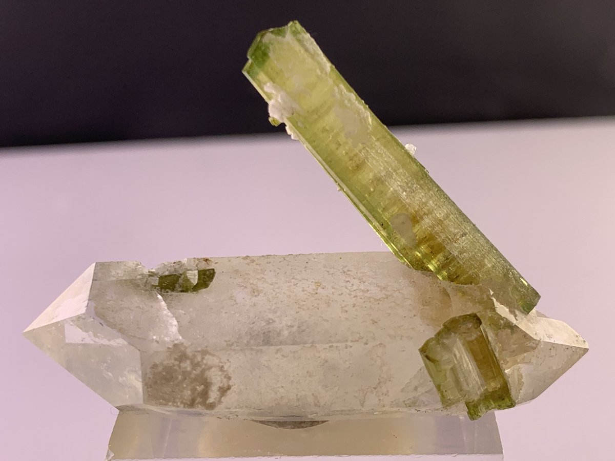 karakormcrystal's tweet photo. Quartz with Green Tourmaline (Elbaite)
A beautifully balanced specimen featuring a clean, well-formed quartz crystal accented by vivid green tourmaline blades.
📍 Origin: Skardu Region
#QuartzWithTourmaline #GreenTourmaline #Elbaite #MineralSpecimen #CrystalCollectors #WilliamEst https://t.co/H9VxOYeFof