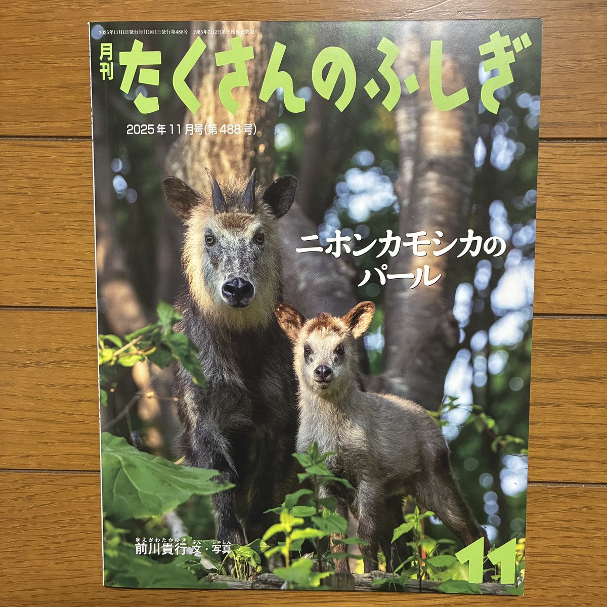 だいぶ前になりますが…福音館書店『月刊たくさんのふしぎ』2025年11月
