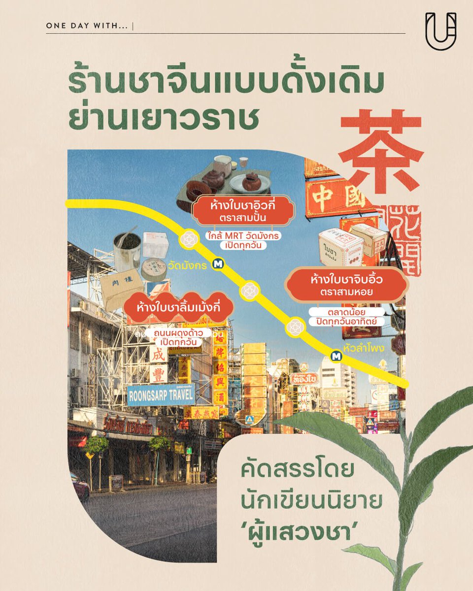 UrbanCreatureTH's tweet image. ที่ผ่านมากระแสกาแฟและมัตฉะมาแรงมาก จนใครๆ ก็พากันไปลิ้มลองร้านดีร้านดังตามย่านต่างๆ แต่ในขณะเดียวกัน เราก็อยากเชิญชวนทุกคนให้ลองเปิดใจ ทำความรู้จักกับ ‘ชาจีน’ หนึ่งในเครื่องดื่มที่มีประวัติศาสตร์มาอย่างยาวนาน และผูกพันกับสังคมไทยมาเกือบร้อยปี

เนื่องจากเมื่อปลายปีที่แล้ว Urban…