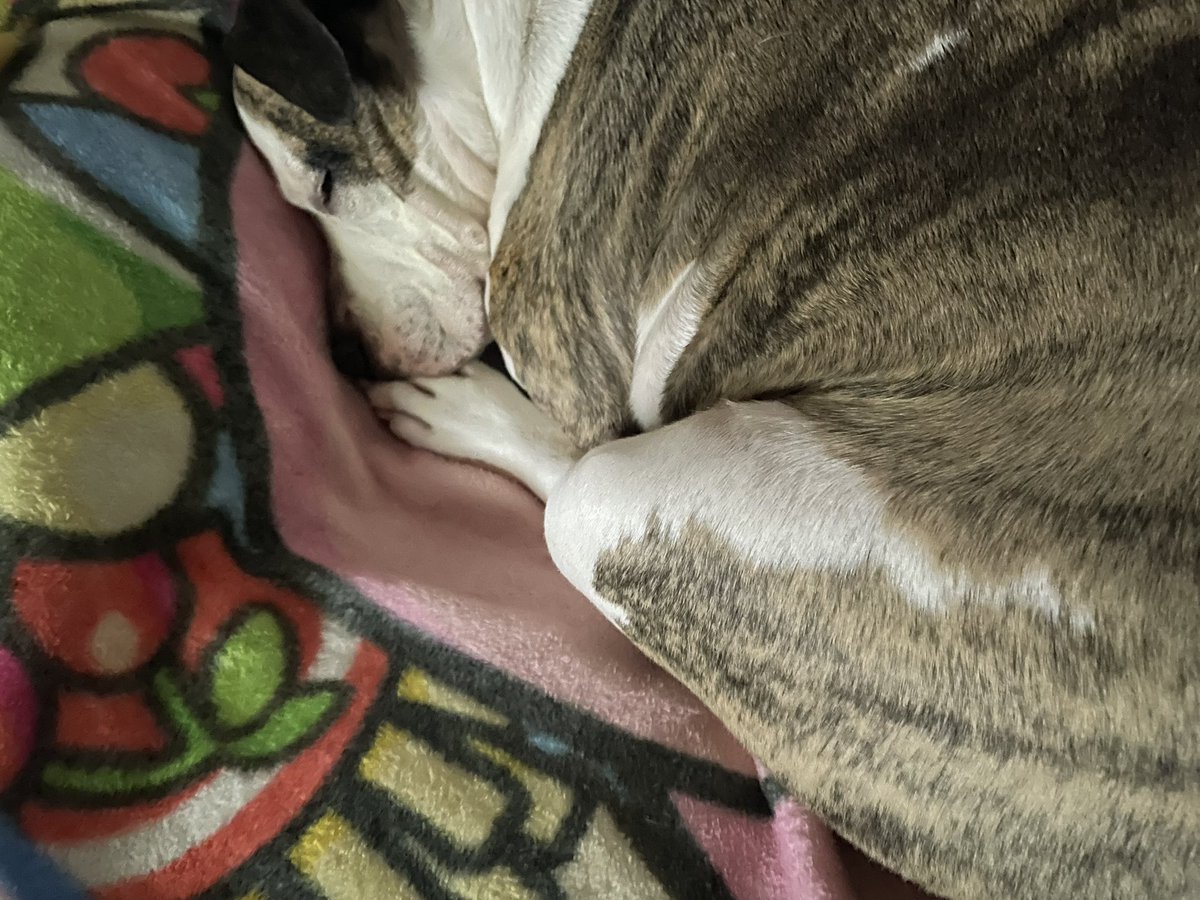 blancoyacht (@grassandapples) on Twitter photo 