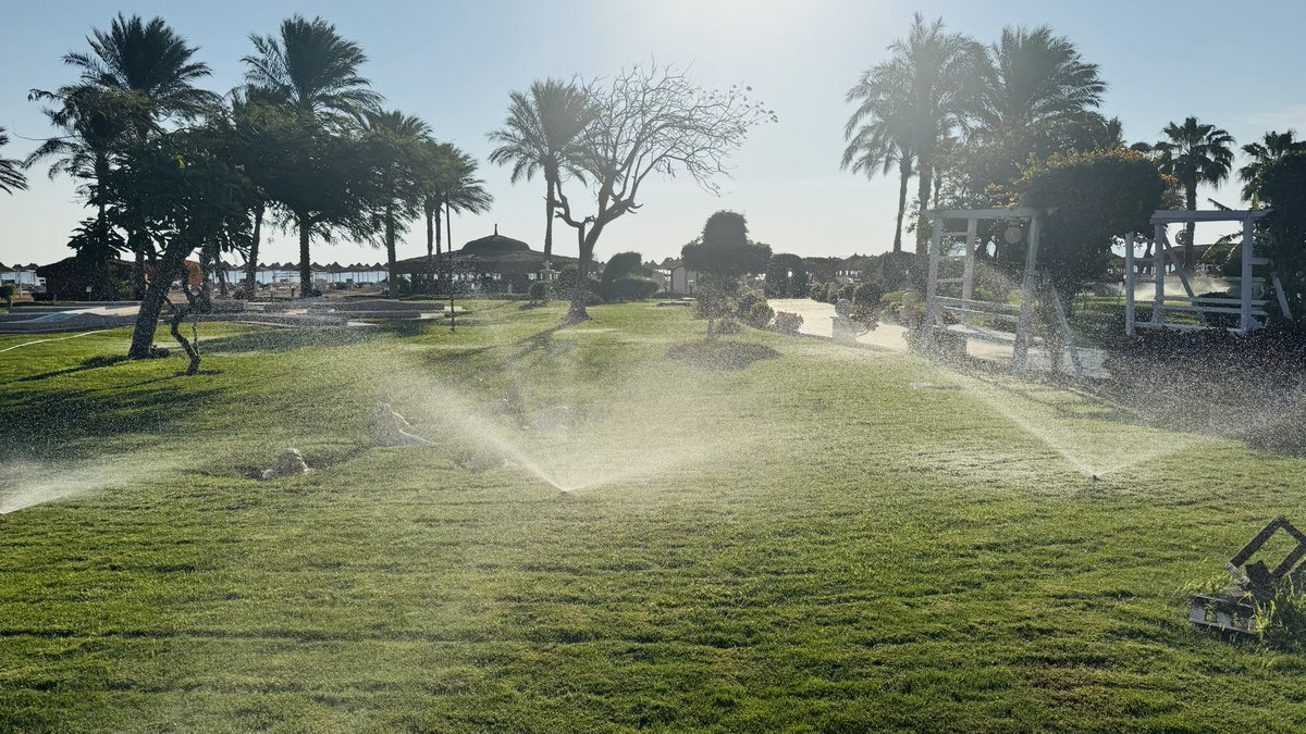 Good morning greetings from Egypt. A cool breeze but the sun is shining. More of the same pool, beach, walk, read, chill. If it stays cooler we will get a taxi into Sharm and visit the Cathedral.  Happy Tuesday. Have a good one ❤️🇪🇬