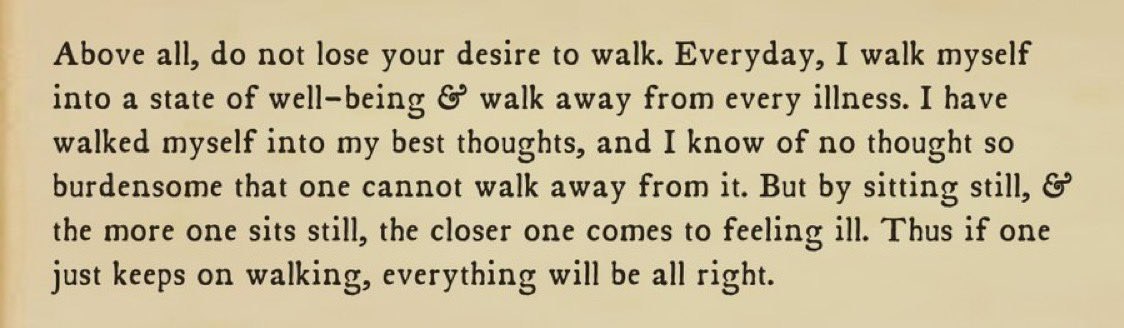 Kierkegaarddd's tweet image. Kierkegaard, go for a walk