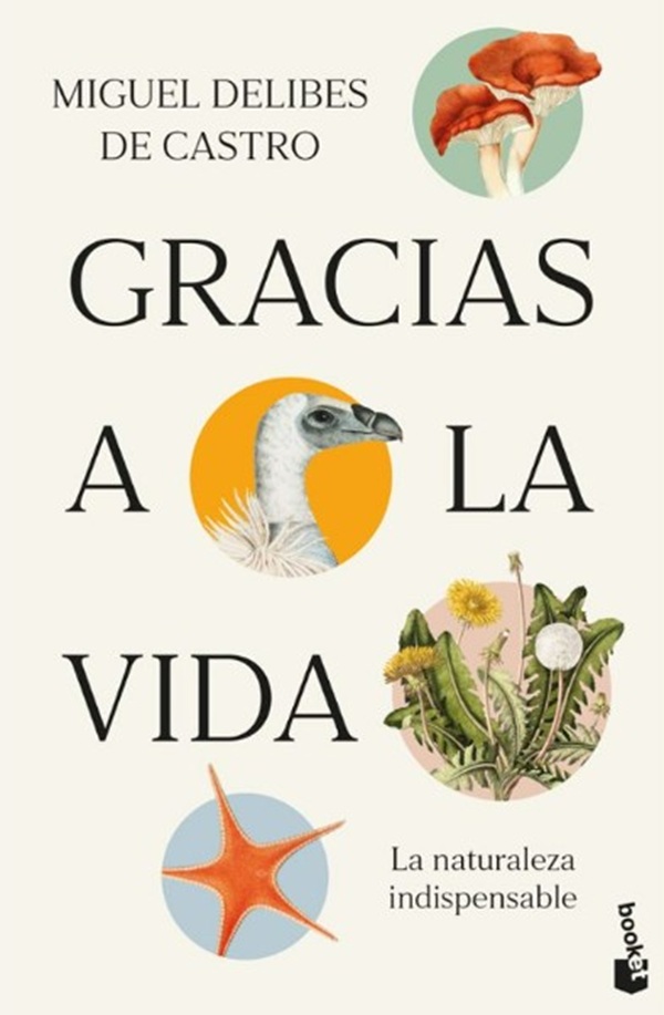 CRCiencia's tweet image. BIBLIOTECA CIENCIA 📚🆕
Gracias a la vida. La naturaleza indispensable (Miguel Delibes de Castro)
planetadelibros.com/libro-gracias-…
vía @Planetadelibros 
#Biologia #Ecologia