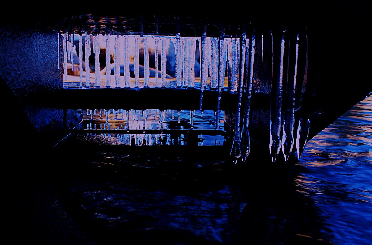 Enter The Lake Tahoe Gallery 
sean-sarsfield.pixels.com
Metal Prints  Canvas Wraps  Puzzles 
Sweatshirts  Tote Bags  Towels 
Phone Cases  Yoga Mats  TShirts    
#Nature #Wolves #Dogs #Sierra #Hiking #Photography #Soul #Travel #Painting #Portraits #Craft #Art #WaterProtector