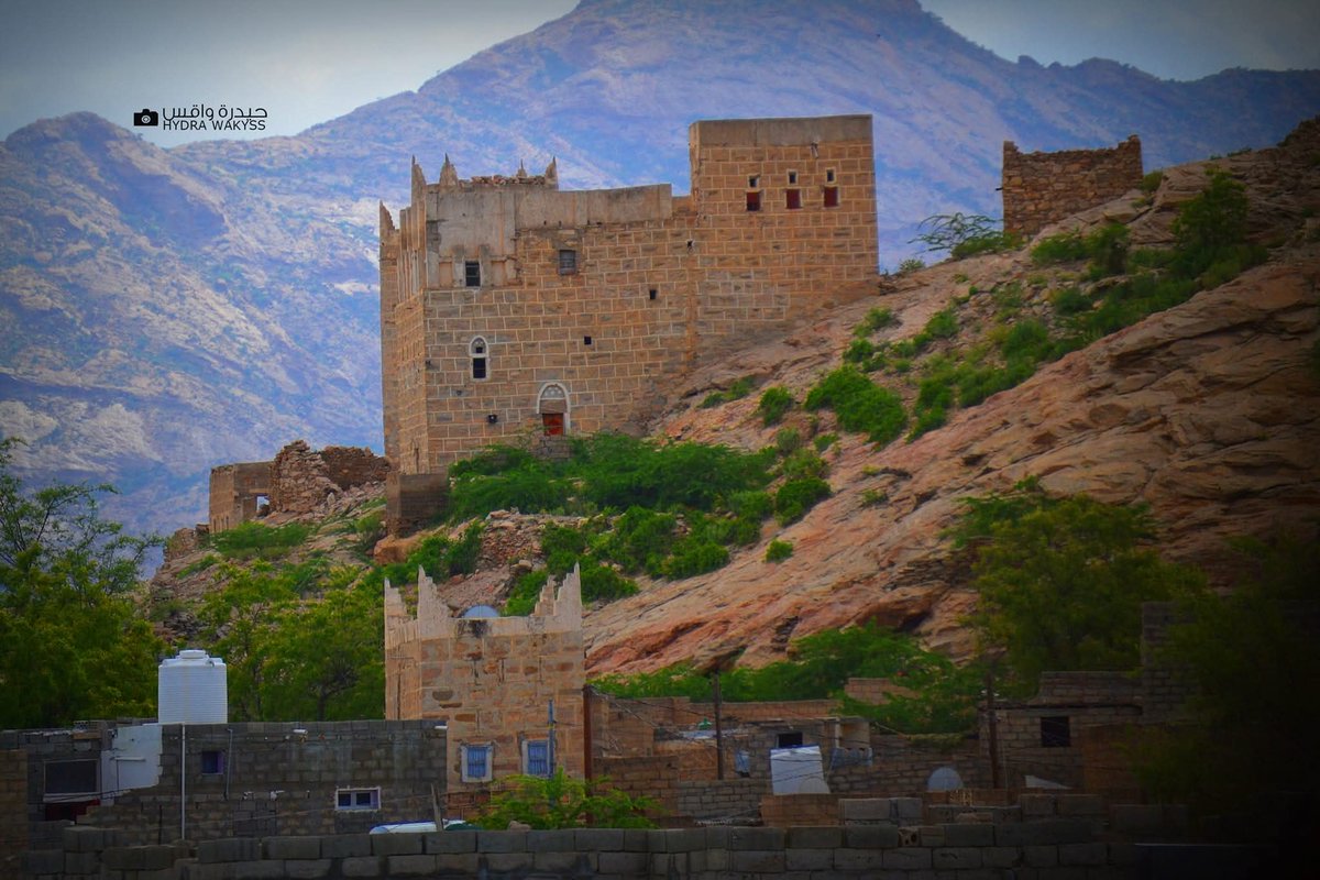 720 Najm tweet media