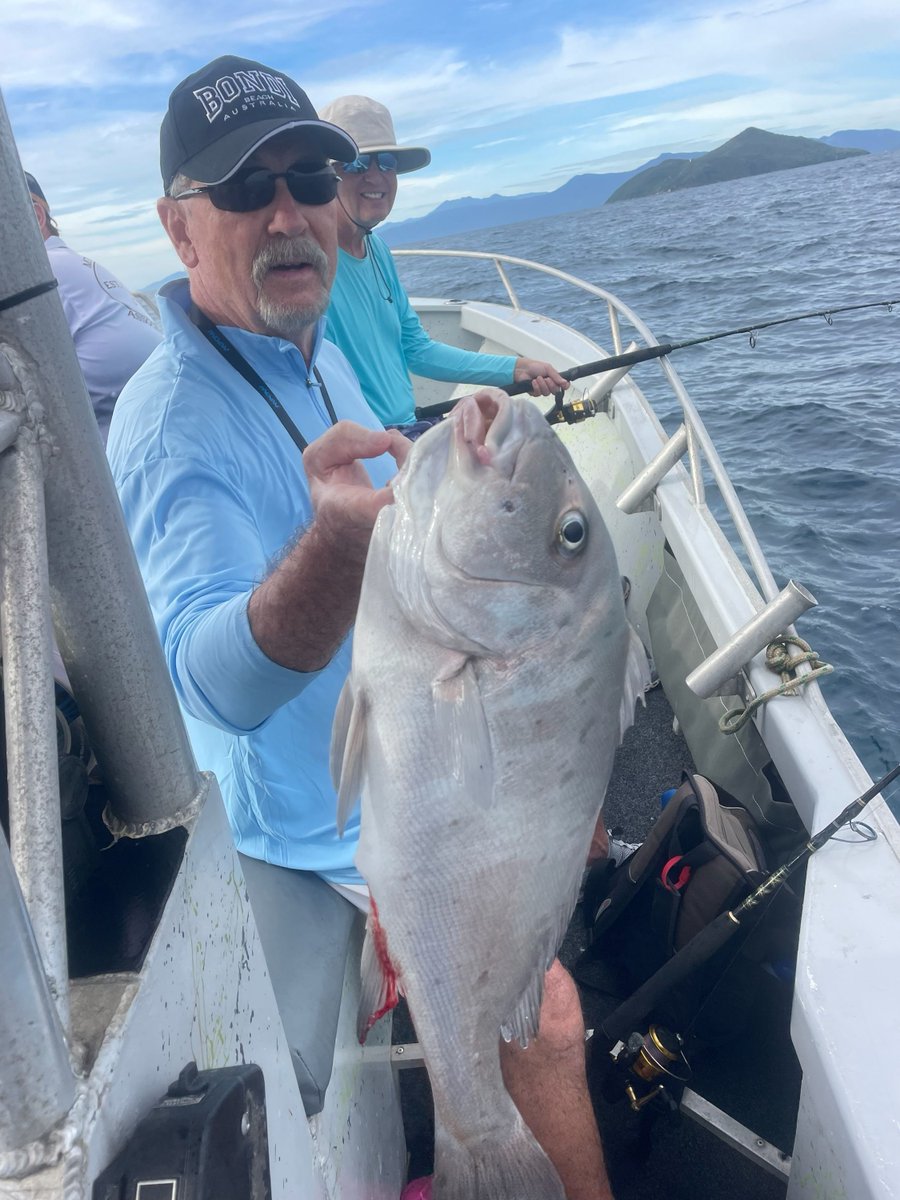 Fish Tales Charters Cairns Sportsfishing Adventure tweet media