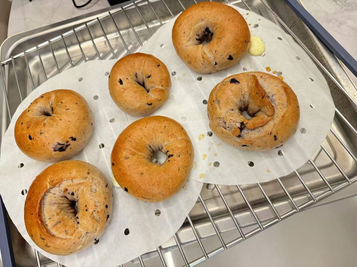 dodgenancy1's tweet photo. bagel！bagel！ https://t.co/SqfvlkMGPo