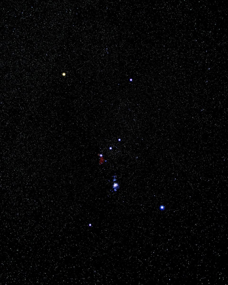 NightSkyToday's tweet image. Orion