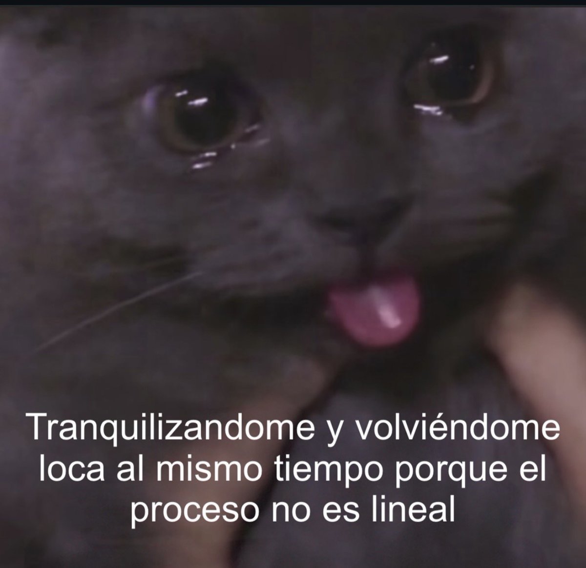 bauldefrases (@suspirxsalaire) on Twitter photo 