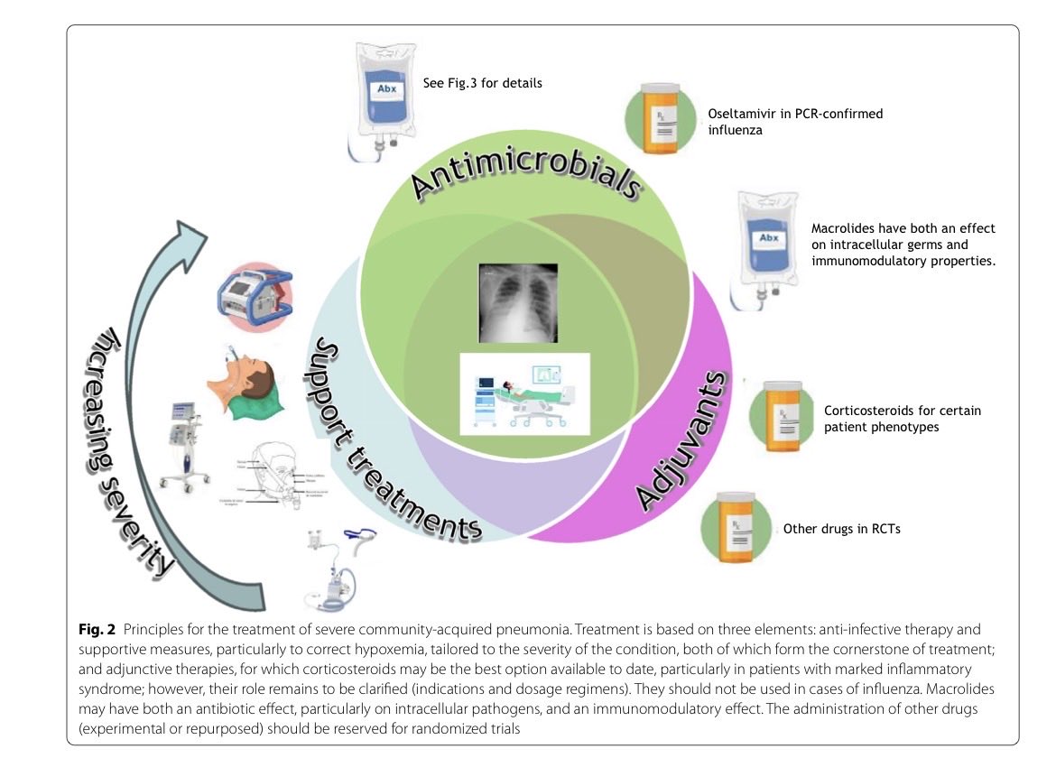infeccHRUmalaga's tweet photo. En @yourICM Conceptos actuales y #Controversias en #NeumoniaComunidadSEVERA 🫁🏡📉: 
🔸Criterios UCI🛌💨
🔸Patogenos🧫🦠
🔸Respuesta inflamatoria📈
🔸Clínica,Radiología,Biomarcsdores🩻🧪
🔸Tratamiento💉
🔸Terapias adyuvantes (corticoides, macrolidos)💊
🔗🆓https://t.co/8MySt29P60 https://t.co/k8Bn31KKLa